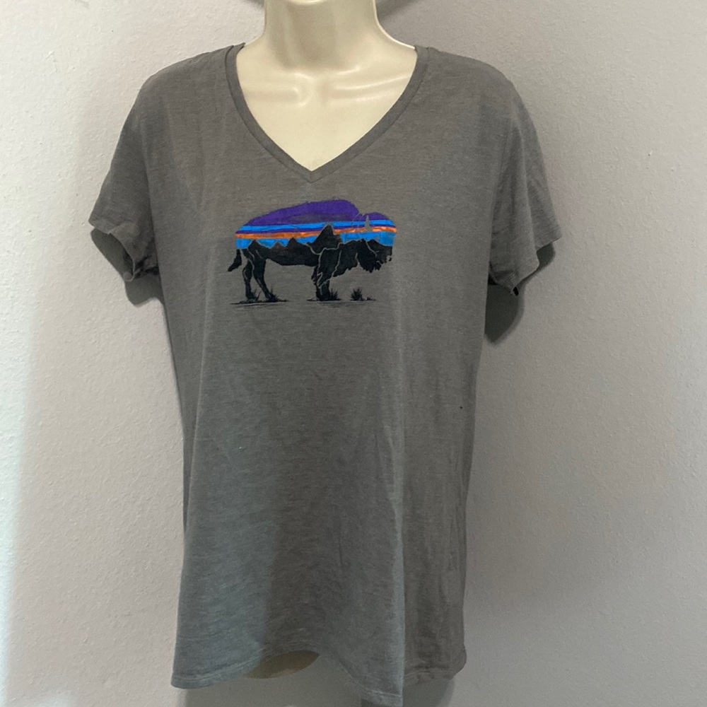 Patagonia TShirt